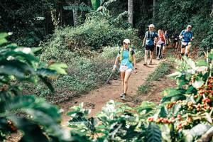 BIB: 
                            <button type="button" onclick="openModal(25852108)" class="btn btn-primary btn-sm float-right btn-popup" data-toggle="modal" data-target=".modal-high-quality">
                        <i class="fas fa-shopping-cart"></i> Add to Cart
                    </button>
                                            <button type="button" onclick="isThisMe(25852108, true)" class="btn btn-success btn-sm float-right btn-popup btn-isme hidden" data-toggle="tooltip" data-placement="bottom" title="นี่คือรูปของคุณใช่ไหม คลิกที่นี่เพื่อเอาเข้าอัลบั้ม">
                        <i class="fas fa-plus"></i> Add to album
                    </button>
                    <button type="button" onclick="isThisMe(25852108, false)" class="btn btn-warning btn-sm float-right btn-popup btn-isnotme hidden">
                        <i class="fas fa-ban"></i> Remove from album
                    </button>